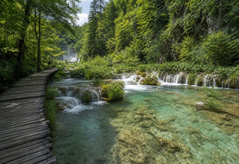 A lush inland Croatian landscape in late spring, viewed from a low wooden walkway over clear emerald water: a series of shallow travertine cascades spilling between mossy stone ledges, beech and fir forest rising steeply on both sides, dappled midday light filtering through bright green foliage, submerged pale limestone and trout visible through the transparent water, soft mist drifting above the falls. Quiet forest interior with an empty walkway, cool green and turquoise palette, photographic realism. Use balanced, natural contrast with a realistic tonal range. Preserve fine detail throughout the image, with smooth highlight roll-off, detailed shadows, balanced exposure, and natural, accurate colors.