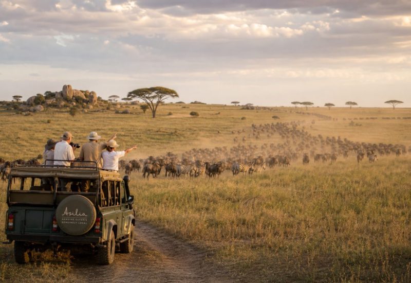 Wide golden hour photograph on the open plains of the Serengeti in Tanzania. In the middle distance a long line of thousands of wildebeest and zebra streams across short grass toward the horizon, raising a soft haze of dust. In the foreground on the left, a small open safari vehicle is parked on a track, and three or four happy travellers stand up through the open roof hatch, smiling and pointing at the herd, one raising a camera, wearing khaki and light shirts and hats. Flat-topped acacia trees and low granite kopjes scatter across the background, with warm low sunlight raking across the grass and a wide sky of soft clouds above. Photorealistic wildlife and travel photography, shot on a long lens with natural compression, people small within a vast landscape. Use balanced, natural contrast with a realistic tonal range. Preserve fine detail throughout the image, with smooth highlight roll-off, detailed shadows, balanced exposure, and natural, accurate colors.