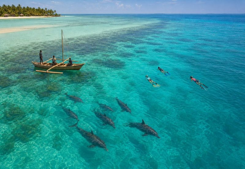Aerial photograph of a small wooden outrigger boat on clear turquoise water off a tropical Indian Ocean coastline, with three snorkelers floating calmly at a respectful distance while a pod of wild dolphins swims past below the surface. Warm early morning light, pale sand bank and dark coral reef patches visible through the shallow water, distant palm-fringed shore on the horizon. Travel photography, wide aerial perspective, people small in the frame and clearly enjoying the moment. Use balanced, natural contrast with a realistic tonal range. Preserve fine detail throughout the image, with smooth highlight roll-off, detailed shadows, balanced exposure, and natural, accurate colors.